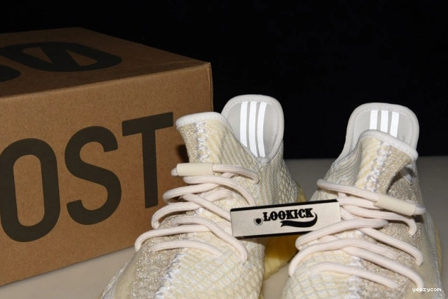 V2 FZ5246 BOOST ADIDAS 350 YEEZY REFLECTIVE ABEZ 1101